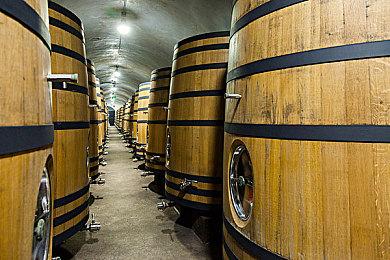 《堕落之主》总成本6600万美元 营销花了1930万美元